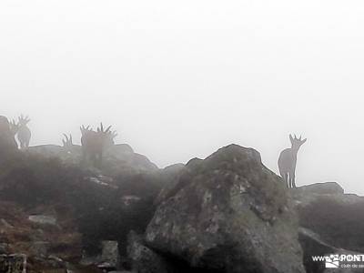 Bola del Mundo desde La Barranca por el Collado del Piornal y la Cuerda de las Cabrillas; senderismo